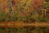 reflectionofcolors.jpg